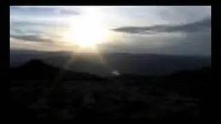 cast-live the dream