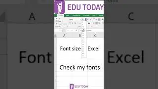 Excel Basic - Font Size in Excel
