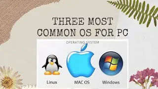 most common os for pc