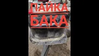 ПАЙКА БАКА