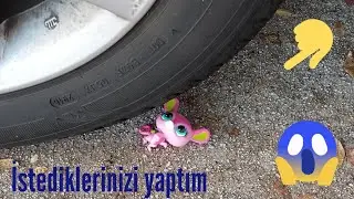 Minişler: İSTEDİKLERİNİZİ YAPIYORUM!?! (Minişimi arabayla ezdim)