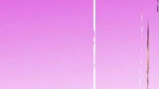 Vwiskers Edit (Alight)