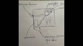 торт дача , торт для дачников
