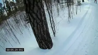 Лыжная гонка Кохма 5км
