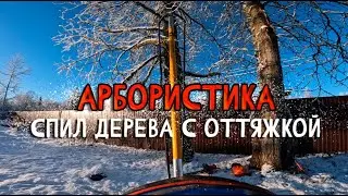 Спил больших тополей с земли с оттяжкой при помощи AWAH Z3 и Makita 40v | Арбористика