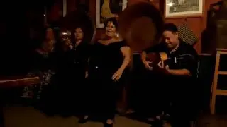 Noches con Arte de FlamencoEsencia / Inma Rivero