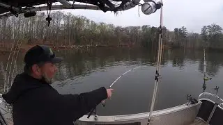 WE RAN INTO A SWARM OF BIRDS STRIPER FISHING LAKE MURRAY