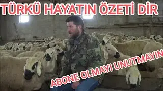 ELBET BİRGÜN BU KIŞ BİTER YAZ GELİR ( Türkülerin çobanı TARIK KARA)