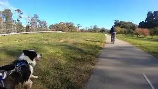 Hodge’s freedom parkrun tour stop #9-2 (Burley Griffin)