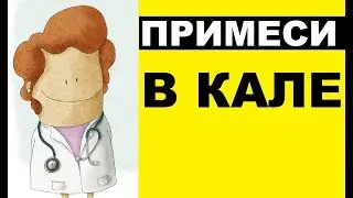 Примеси в кале: 5 признаков, которые должны вас насторожить
