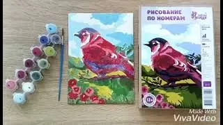 Рисование по номерам. Рисуем птичку.