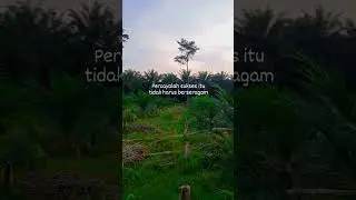 kerja keras 🔥🔥 #creatorpemula #fypshorts #petanisawitindonesia #kulisawit