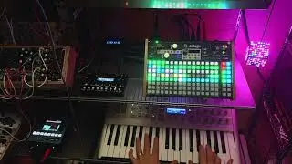 Jamuary 2024 21