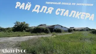 Рай для сталкера