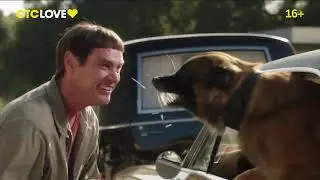 Промо-ролик для СТС LOVE Тупой и еще тупее 2. Собачий вальс