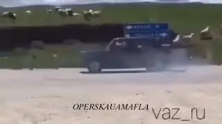 Operskayamafia