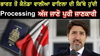 Canada Visa | Processing Time | Visitor Visa Updates | IRCC New Updates | Immigration Station