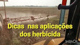 Dessecação de corda de viola pré plantio de soja.