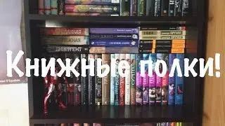 Мои книжные полки!