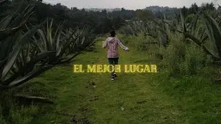 El mejor spot para disfrutar un Pulque! 💚🌱👌 1ra parte.