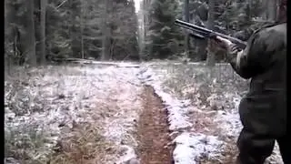 ПРИКОЛ ! ОХОТА неудачника