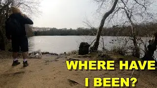 I'm Back! Where Have I Been? What's Next?! I'm Back!