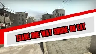 (Dust II Cat) Insane One Way