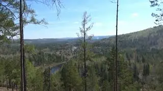 Тойсик весна