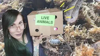 well, THIS didn't go as planned
