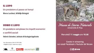 Biodiversità e conservazione dei mammiferi in Toscana