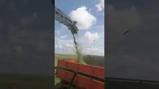 20 июля 2024 г.