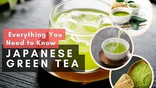 Everything You Need to Know About Japanese Green Tea
