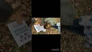STAV et école primaire en forêt - Touscayrats