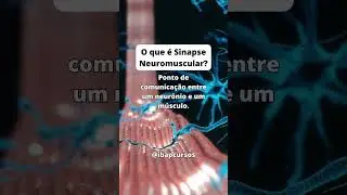 O que é sinapse neuromuscular? 