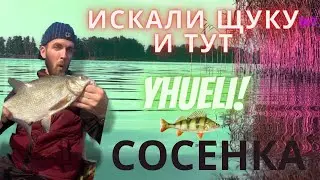 ИСКАЛИ ЩУКУ А ТУТ😮 СОСЕНКА 