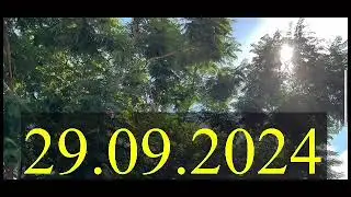 🔥29 September 2024
