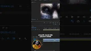 OTOMATİK SAHNE ANALİZİ #shorts #premierepro