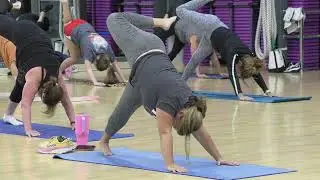Cathe Friedrich's #514 Stretch and Flow Live Workout