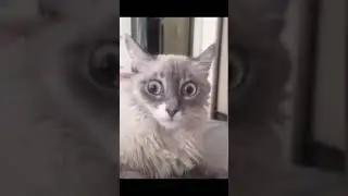 Шок контент 😱❗