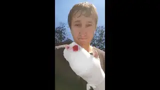 Беда. Друзья, делюсь с вами, не знаю что будет дальше