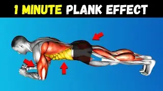What Will Happen if you Plank Everyday for One Minute