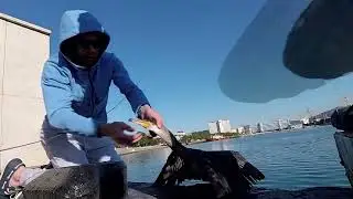 Рыбалка в Новороссийске
