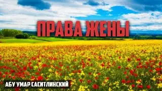 Права жены | Абу Умар Саситлинский