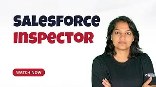 Salesforce Einstein Prediction Builder Demo : Import records with salesforce Inspector