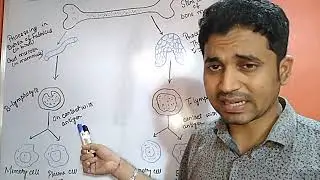 Lecture:6, (Class 12) ch-8, Immunity (part 2)
