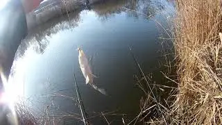 Моя рыбалка в декабре на новом месте