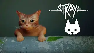 Stray - серия 1 // Прохождение игры Stray - Начало приключений