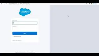 Grant Login Access to Administrators in Salesforce