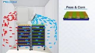 Frozen Food Blast Freezing | Freon Blast Freeing Unit | Blue Cold Refrigeration Pvt. Ltd.