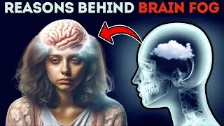 Reasons You May Have Brain Fog | Causes of BRAIN FOG | Brain Fog Symptoms